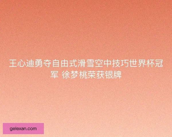 王心迪勇夺自由式滑雪空中技巧世界杯冠军 徐梦桃荣获银牌 王心迪勇夺自由式滑雪空中技巧世界杯冠军 徐梦桃荣获银牌