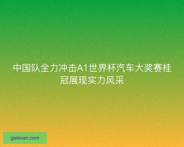 中国队全力冲击A1世界杯汽车大奖赛桂冠展现实力风采 中国队全力冲击A1世界杯汽车大奖赛桂冠展现实力风采